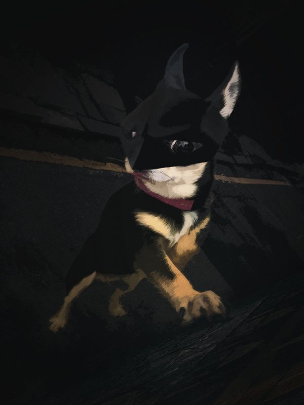 BatCiara